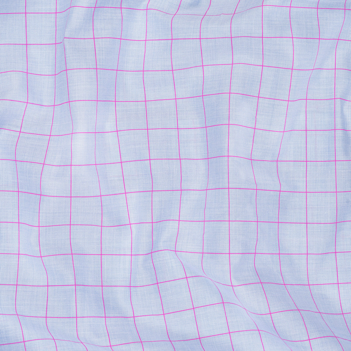 SIGNATURE: BLUE CRUSH
