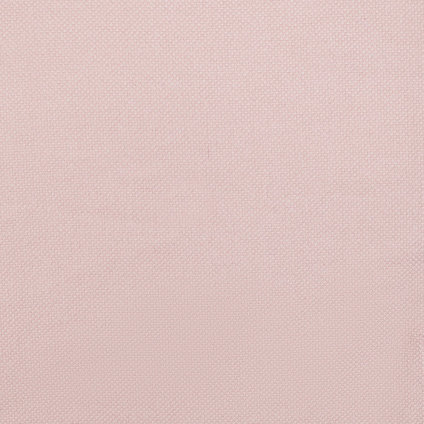 SIGNATURE: BLUSH SOCIETY