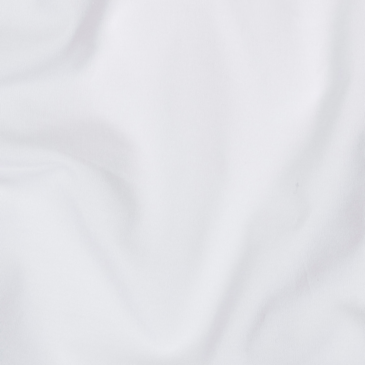 3/4 SLEEVE: BLANC DE BLANC