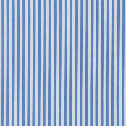 Blue and White striped fabric swatch.